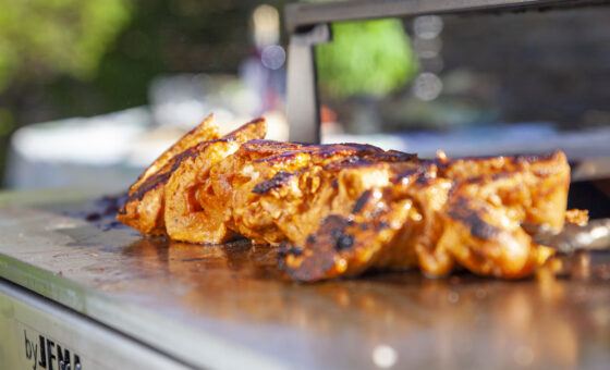 Fersk kylling spyd barbecue